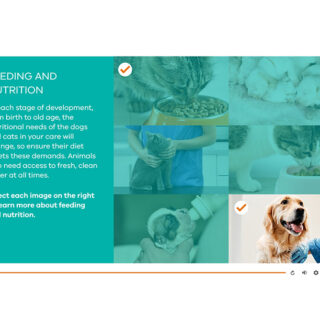 eLearning template example