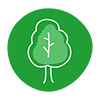 Birch Learning Platform