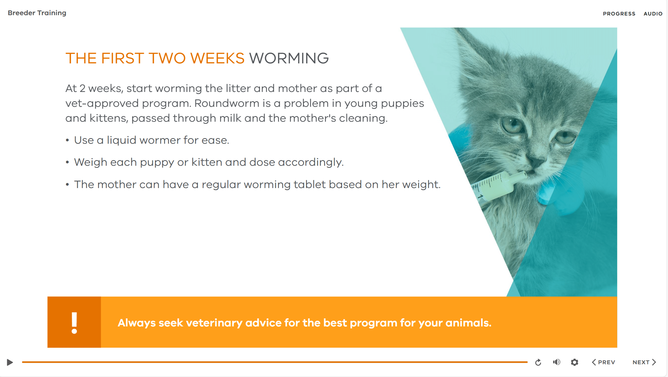 elearning template example elearning template example