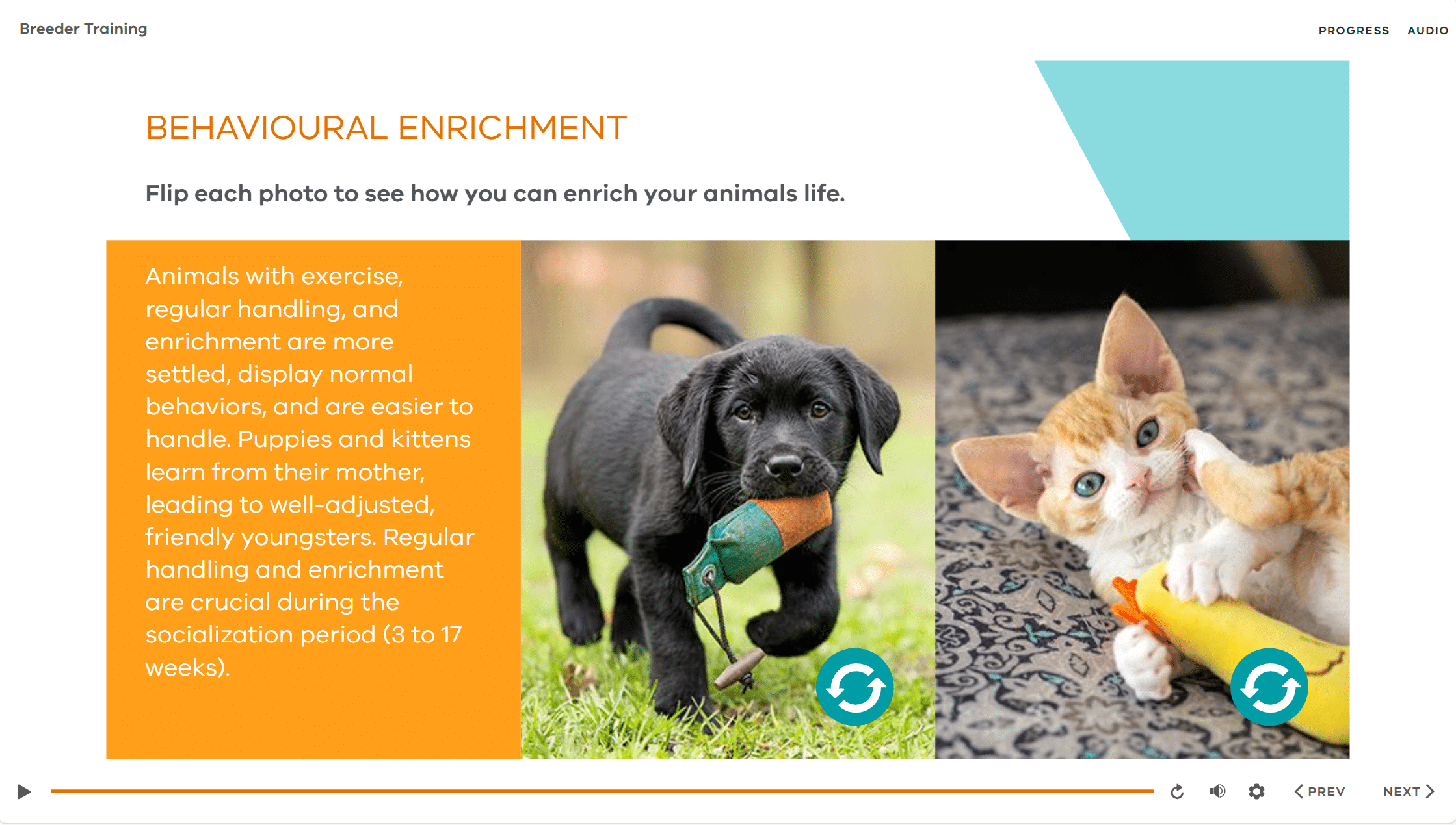 elearning template example elearning template example