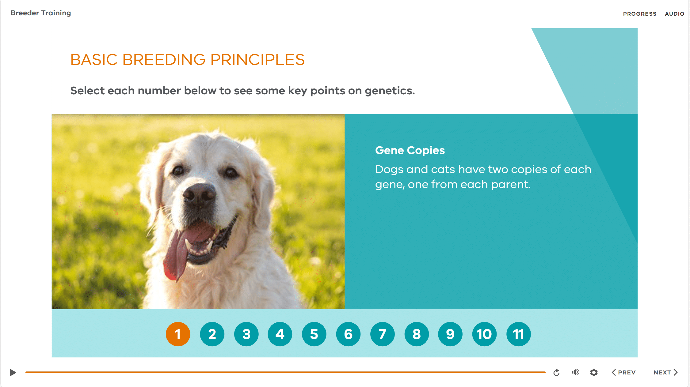 elearning template example elearning template example
