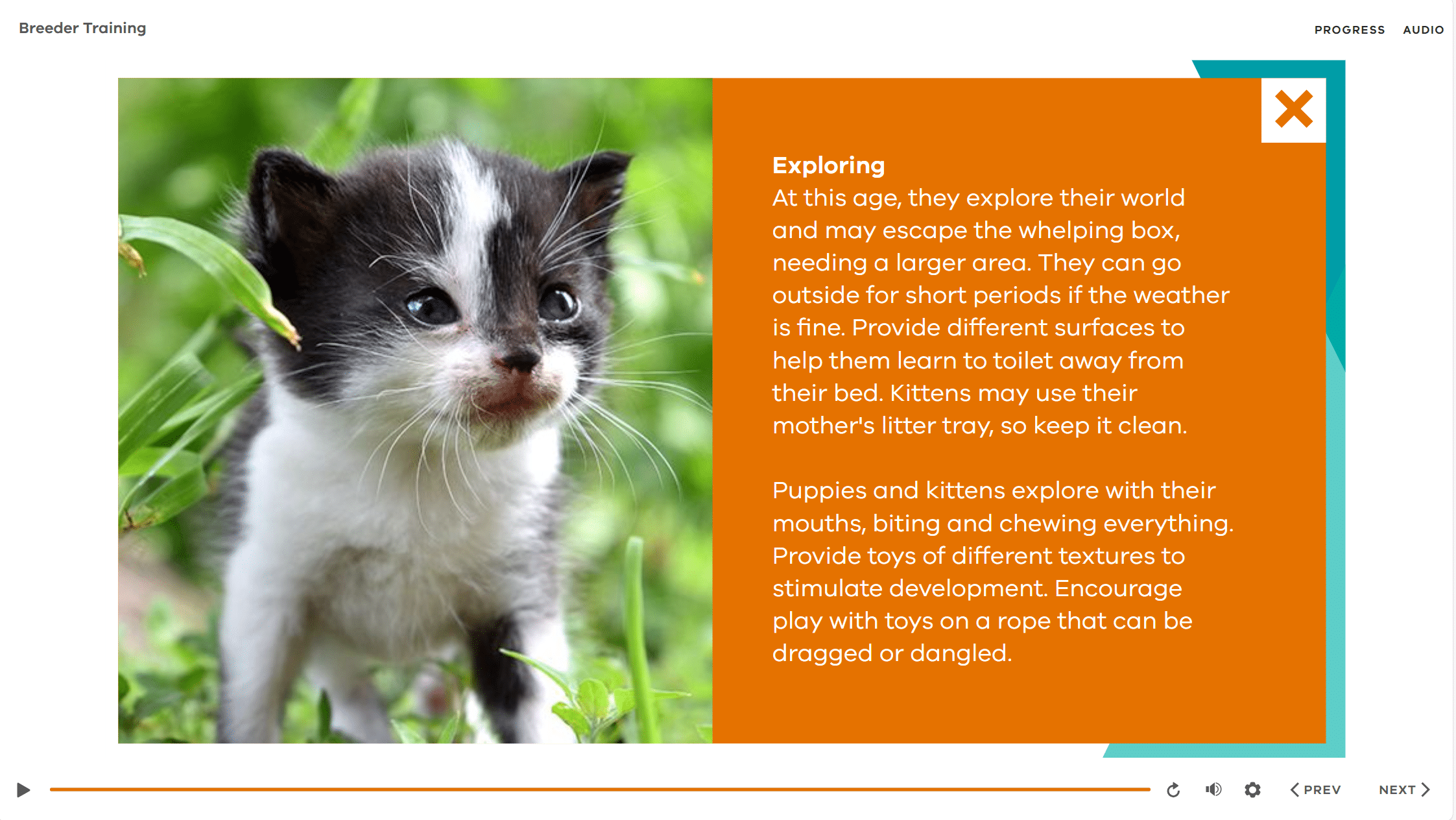 elearning template example elearning template example