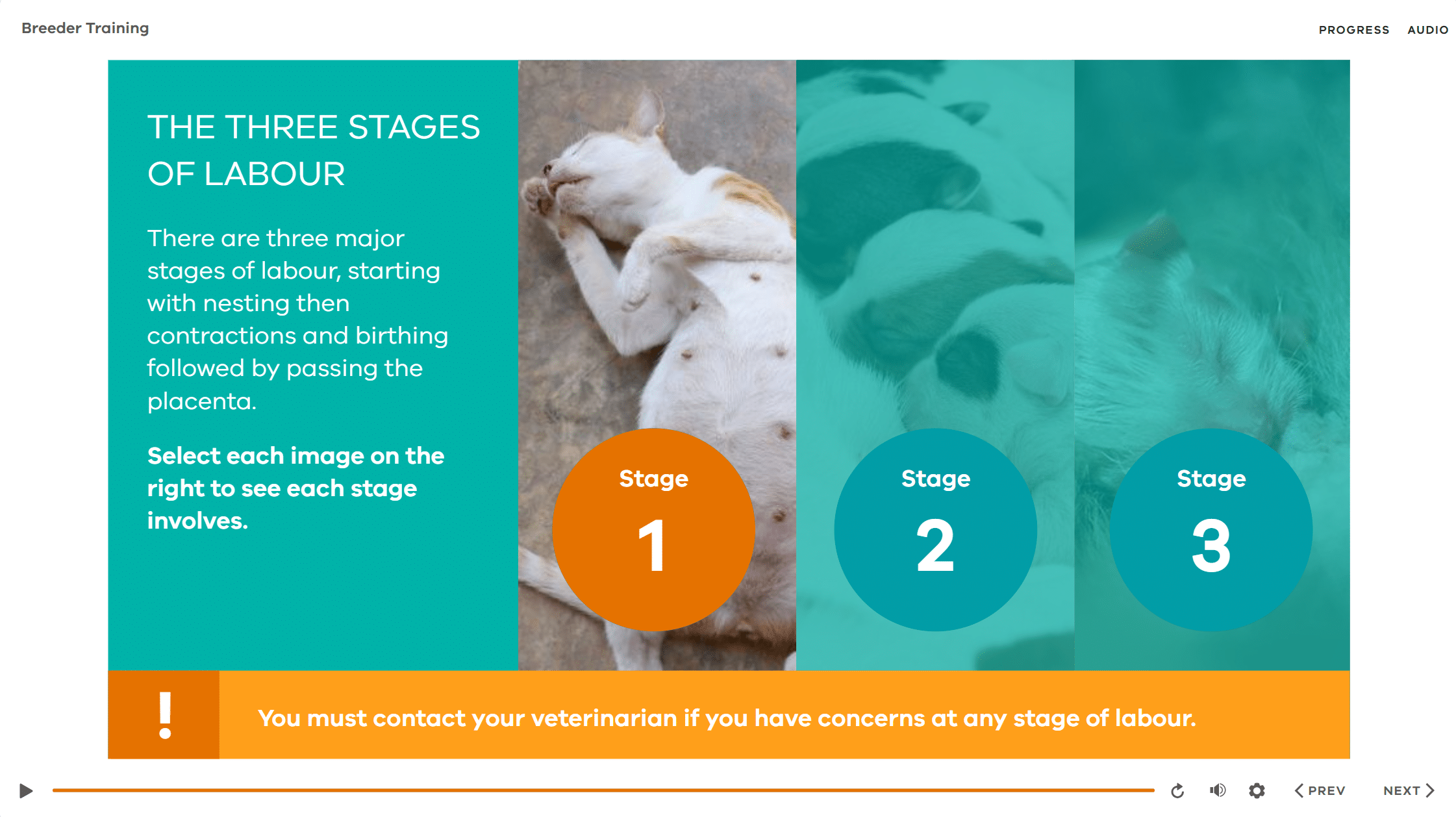 eLearning template example eLearning template example